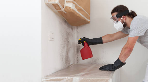 Professional Bathroom Mold Removal technician working in Aldie, VA