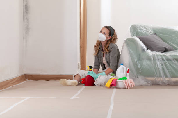 Reliable Bathroom Mold Removal contractor in Aldie, VA by WQB Mold Removal